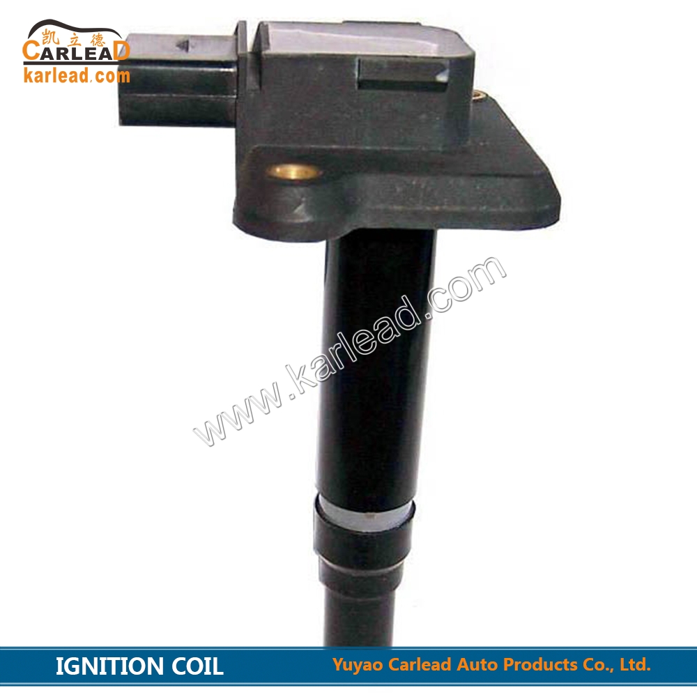 06B905115B, 06B905115E, DQG1106B, Bobine d